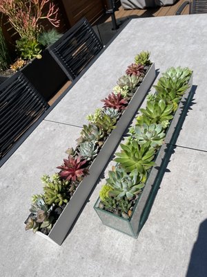 Photo of Green Door Design