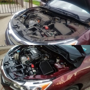 Photo of Adonis Auto Detailing