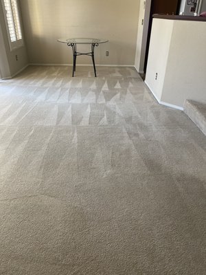 Photo of Organic Cleaning Service