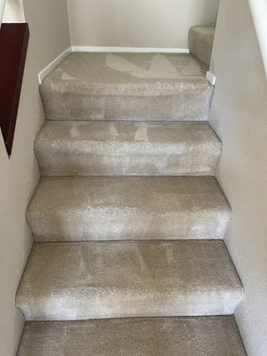 Photo of Organic Cleaning Service