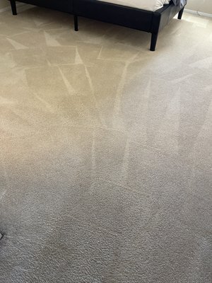 Photo of Organic Cleaning Service
