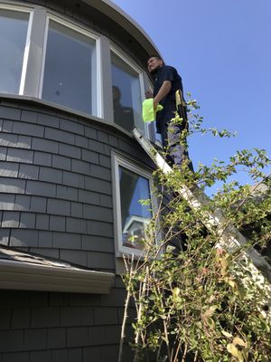 Photo of Dome Cleaning