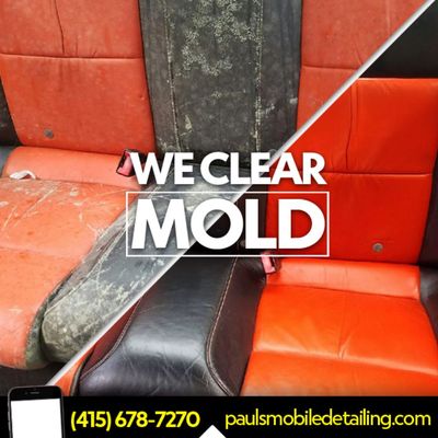 Photo of Paul's Mobile Detailing