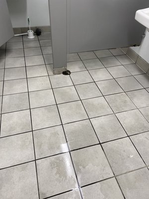 Photo of San Francisco Spark Cleaning