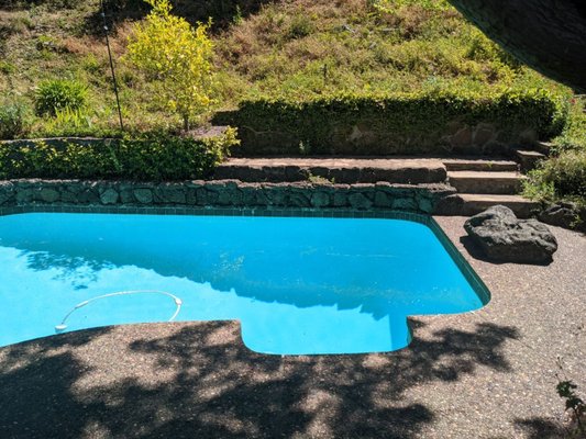 Photo of The Pool Doctor