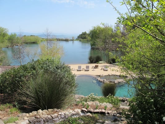 Photo of McDonald Pools
