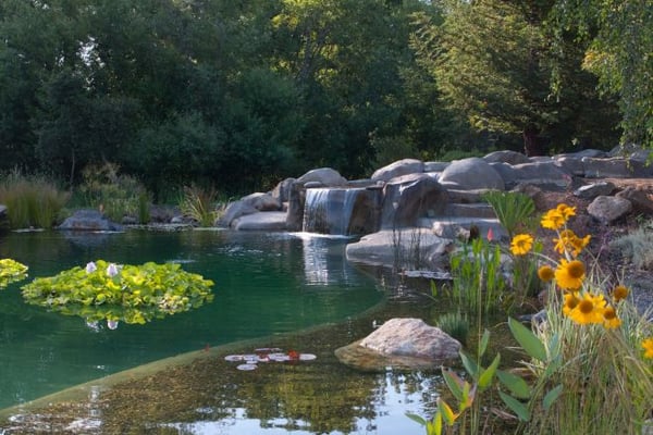 Photo of McDonald Pools