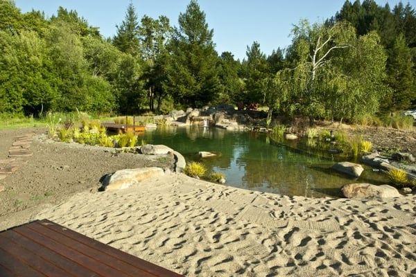 Photo of McDonald Pools