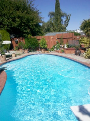 Photo of Palmer's Pool Service
