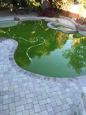 Photo of Accurate Pool Care