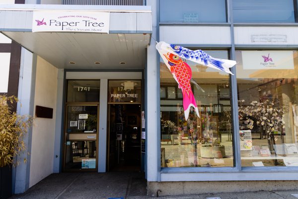 Photo of Paper Tree