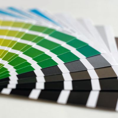 Photo of Blue Dog Graphics