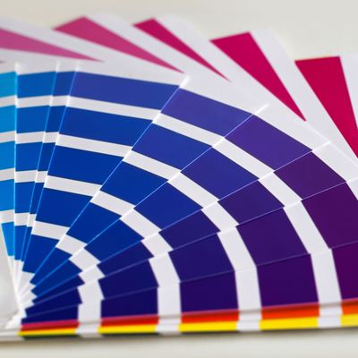 Photo of Blue Dog Graphics