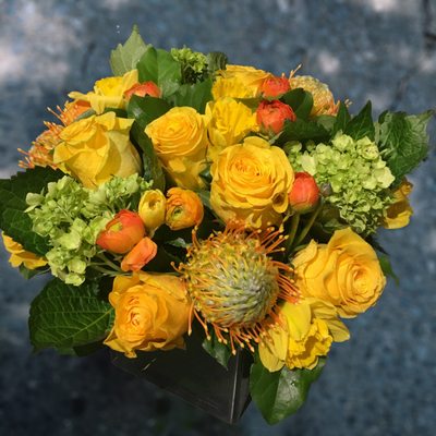 Photo of Posies