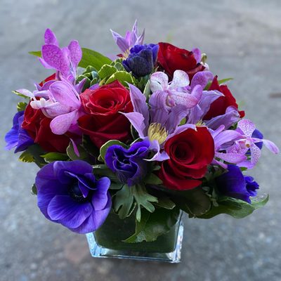 Photo of Posies