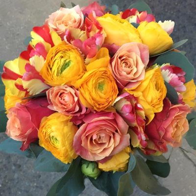 Photo of Posies