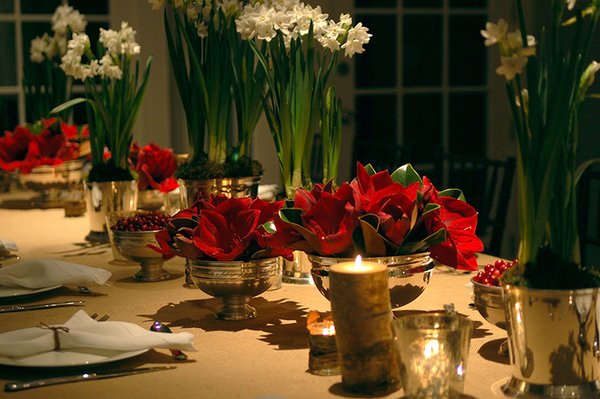 Photo of Bridget Vizoso Design