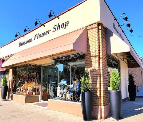 Photo of Blossom Flower Shops