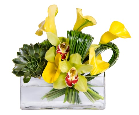 Photo of Big Apple Florist
