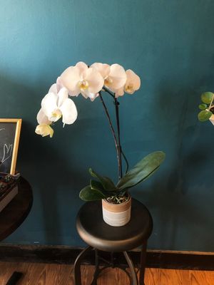 Photo of Love U Flowers