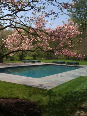 Photo of Rick Pinto Swimming Pools