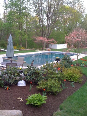 Photo of Rick Pinto Swimming Pools
