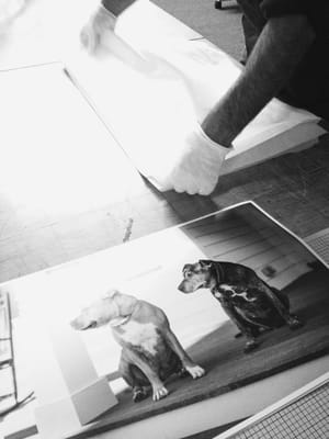 Photo of Print Space
