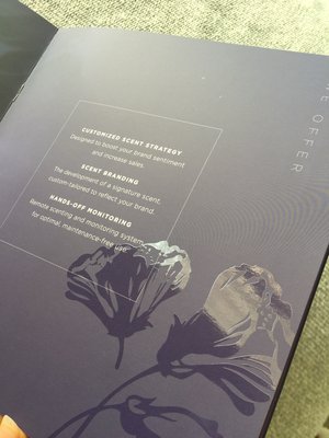 Photo of Rush Flyer Printing