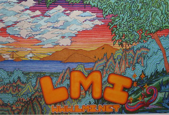 Photo of LMi.Net - Lanminds
