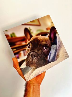 Photo of Davis Sign Co.