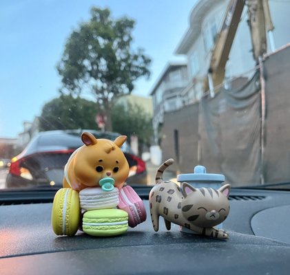 Photo of Woot Bear