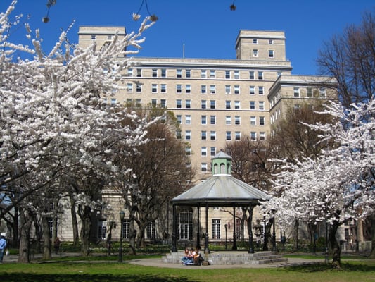 Photo of International House