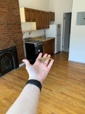 Photo of City Wide Apartments
