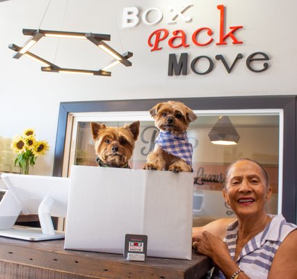 Photo of Box Pack Move
