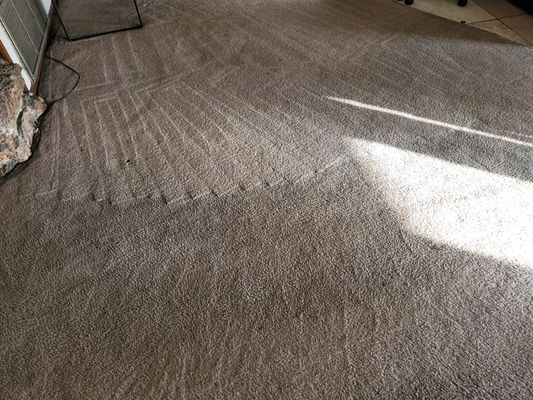 Photo of Go Green Cleaning Service
