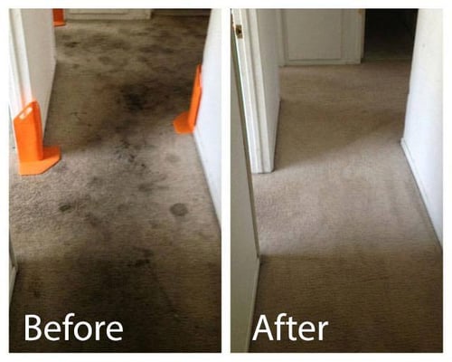 Photo of Green and Clean Services