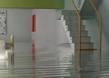 Photo of Green and Clean Services