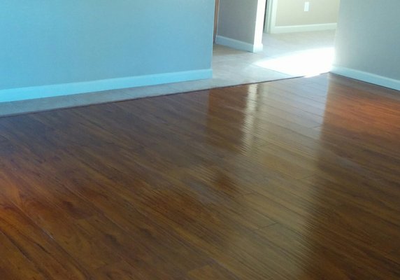 Photo of iClean Maid Services