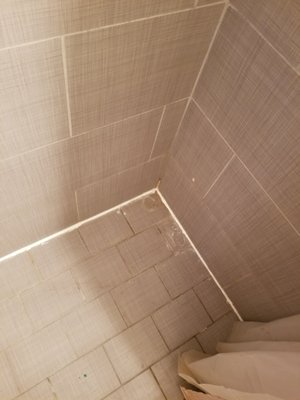 Photo of Efficient Clean Team
