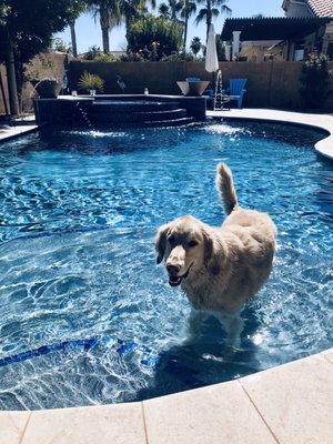 Photo of Refresh Pools