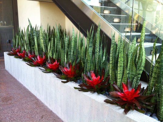 Photo of Plant Solutions
