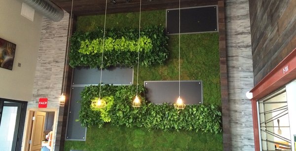 Photo of Plant Solutions