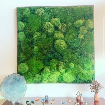 Photo of Plant Solutions