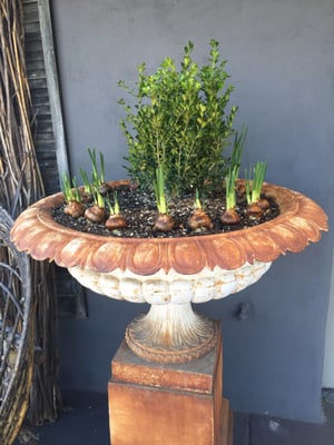 Photo of Willows Fine Goods and Design