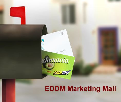 Photo of BMD Printing & Business Services