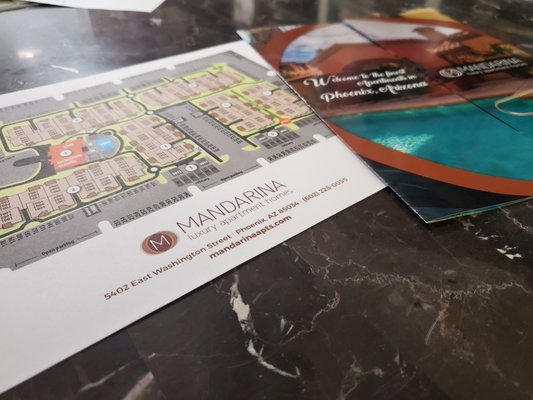 Photo of Alamari Design & Print