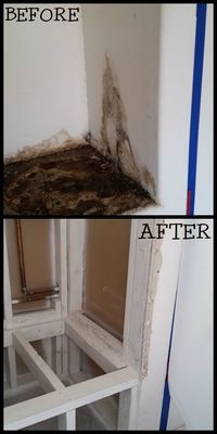 Photo of Zona Restoration