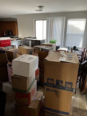 Photo of Small Move Specialist