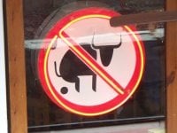 Photo of No BS Express