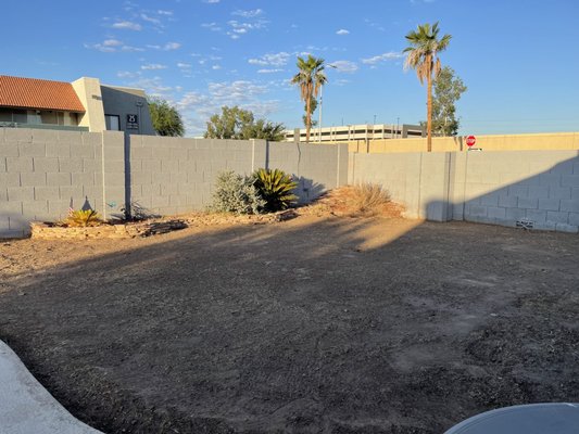 Photo of Tough Turtle Turf - Phoenix